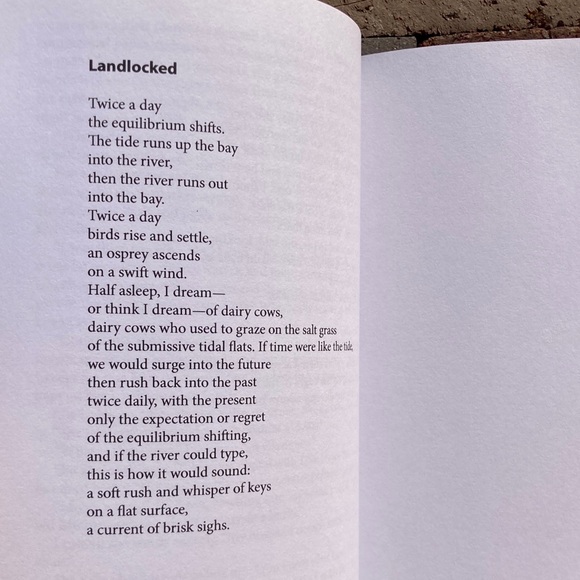 All Rise Dick Bentley Out of Print Poetry Prose Hell Paris Review Urban Planner - Picture 9 of 14